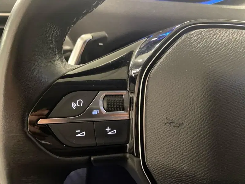 Peugeot 3008 usata a Torino (12)