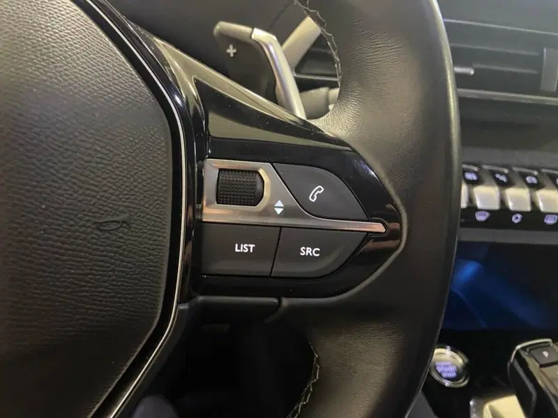 Peugeot 3008 usata a Torino (13)