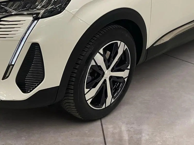 Peugeot 3008 usata a Torino (15)