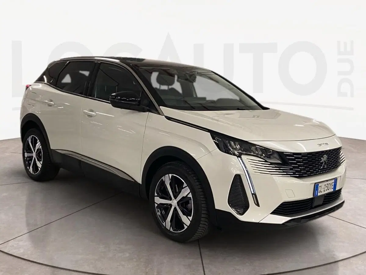 Peugeot 3008 usata a Torino (3)
