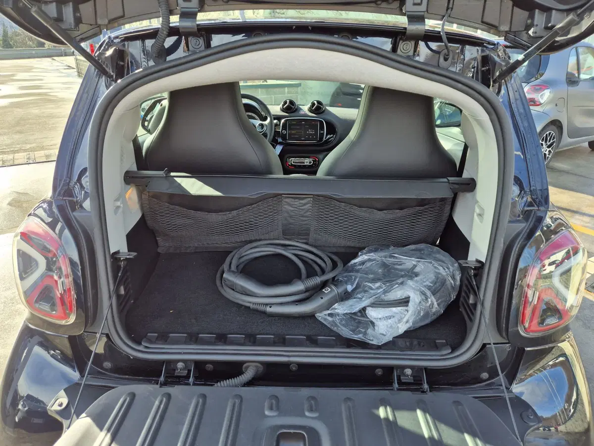 smart Fortwo usata  (10)