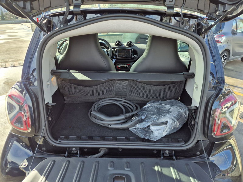 smart Fortwo usata  (10)