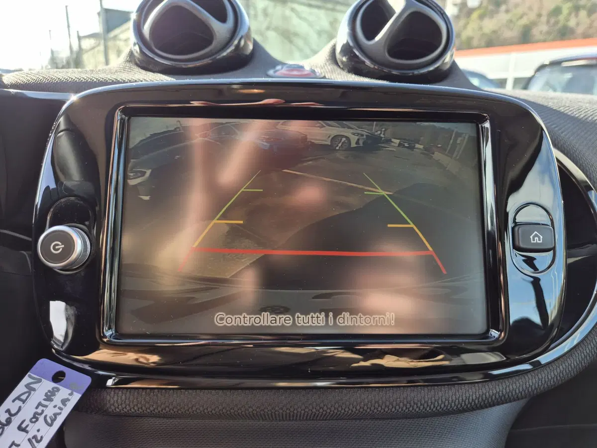 smart Fortwo usata  (13)