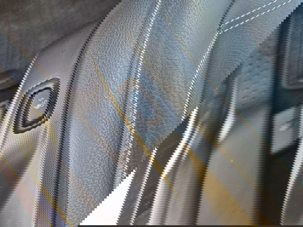 smart Fortwo usata  (18)