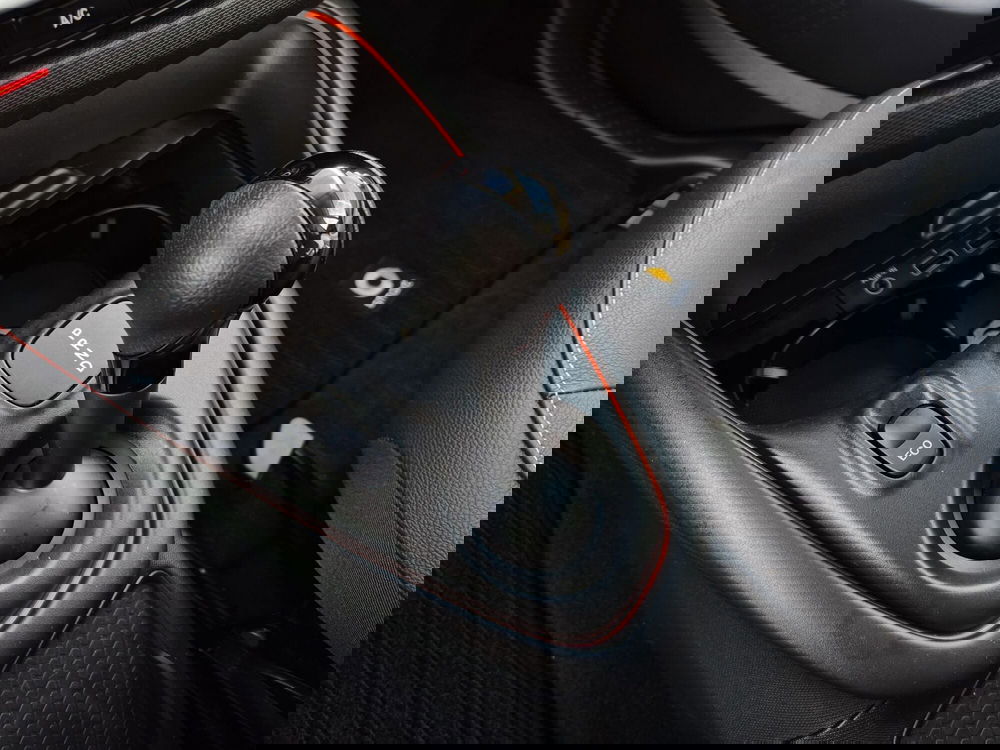 smart Fortwo usata  (9)