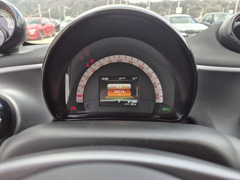 smart Fortwo usata  (12)