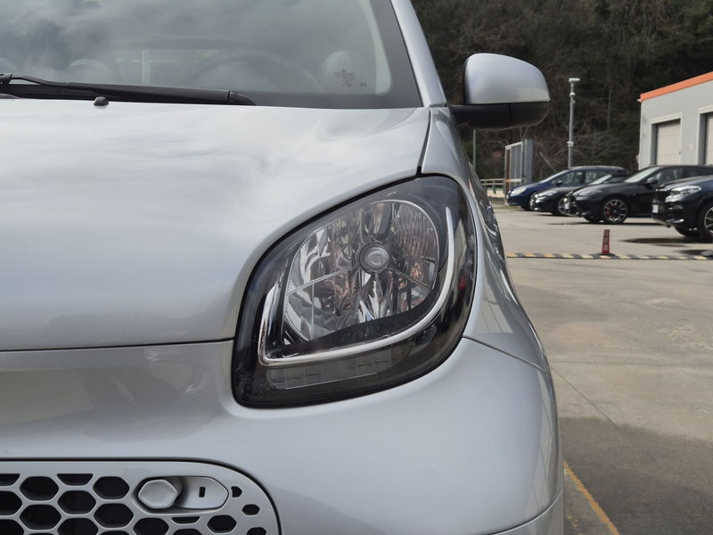 smart Fortwo usata  (13)