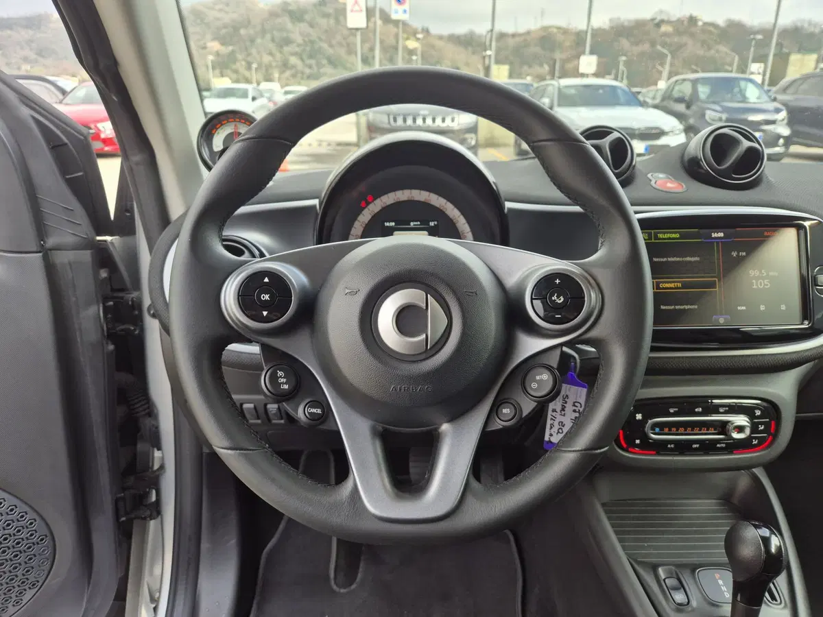 smart Fortwo usata  (14)