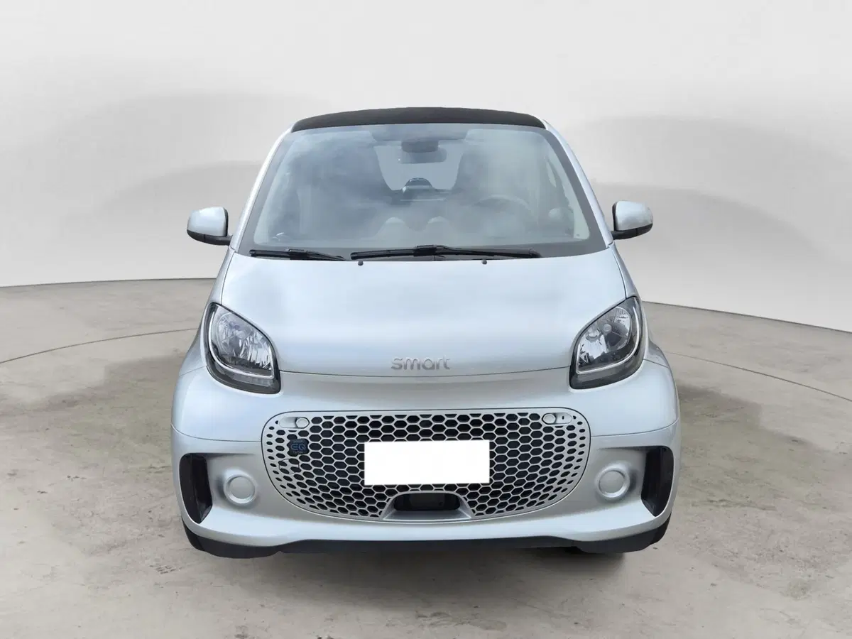 smart Fortwo usata  (2)