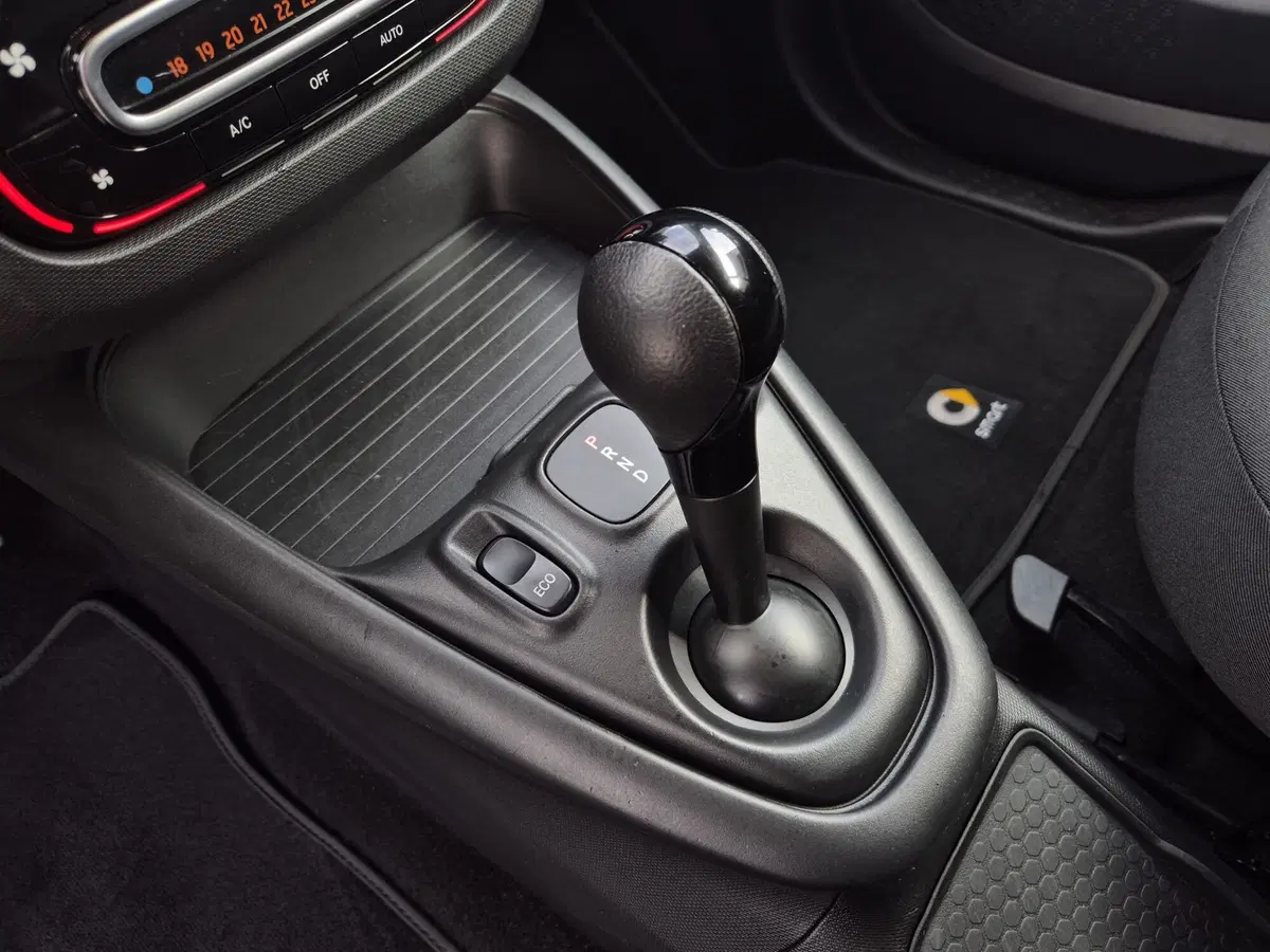 smart Fortwo usata  (9)