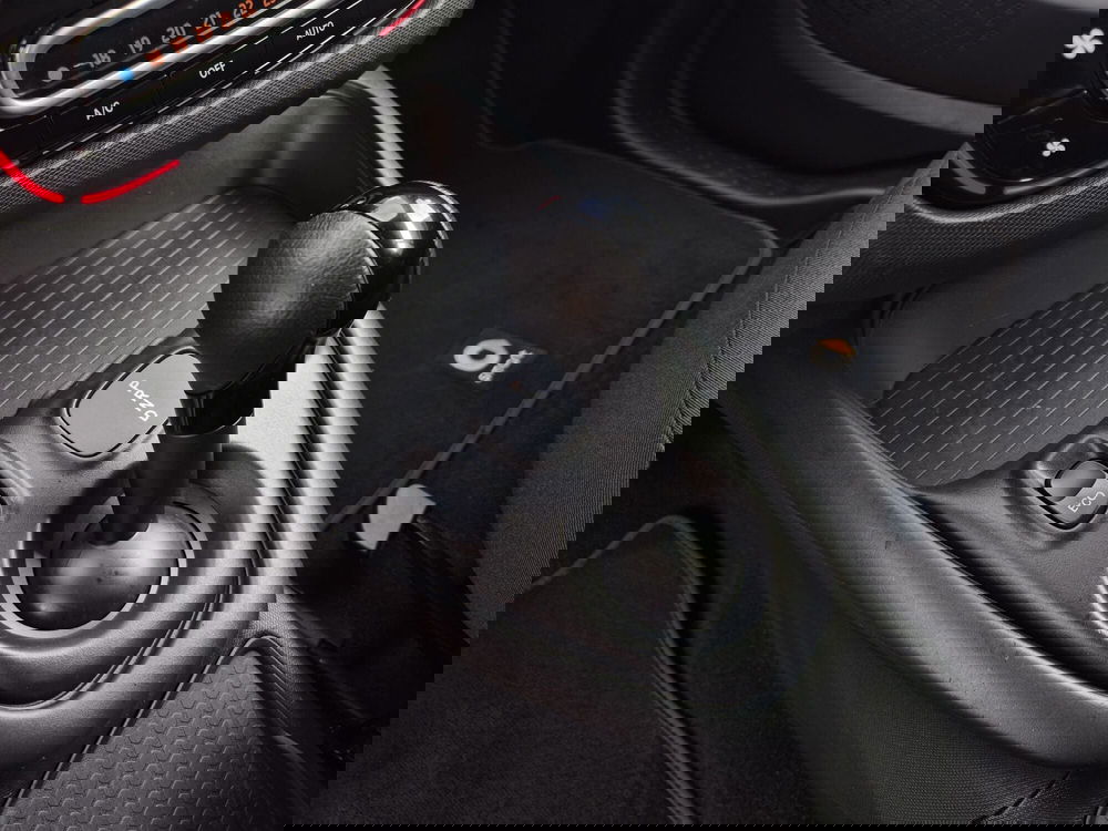 smart Fortwo usata  (9)