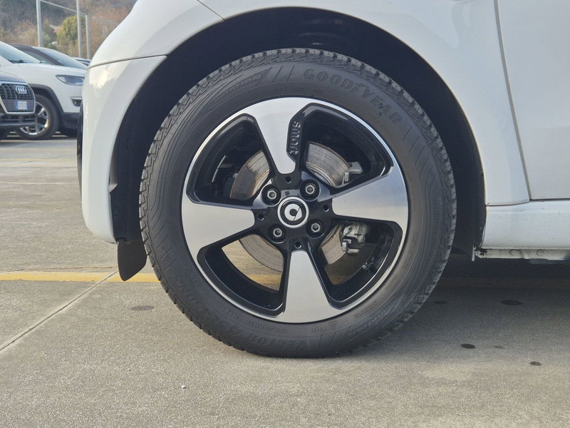 smart Fortwo usata  (11)