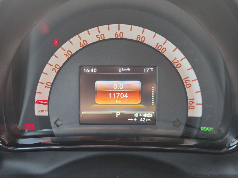 smart Fortwo usata  (12)