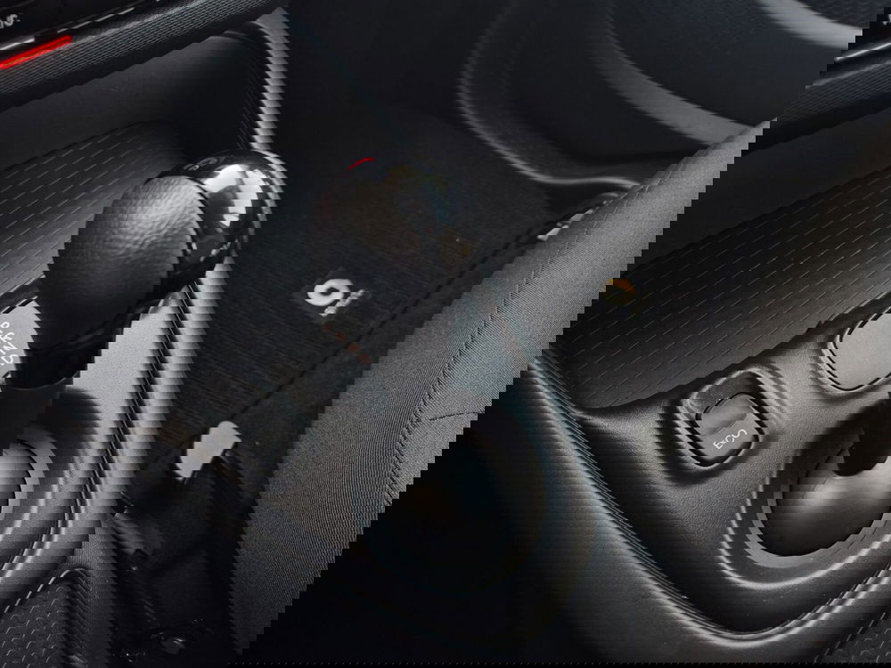 smart Fortwo usata  (9)