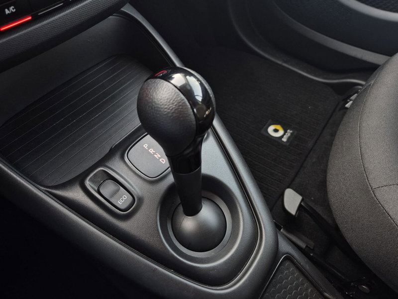 smart Fortwo usata  (9)