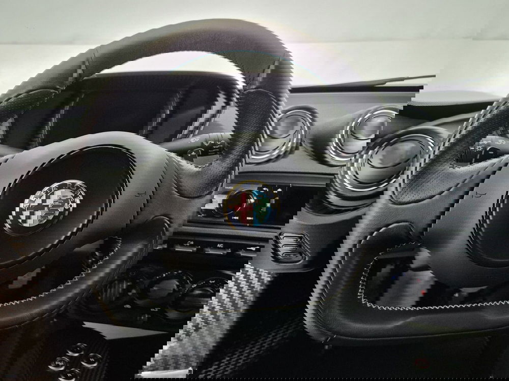 Alfa Romeo 4C Coupé usata a Torino (10)