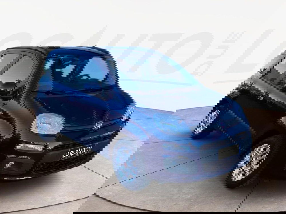 Fiat Panda usata a Torino (2)