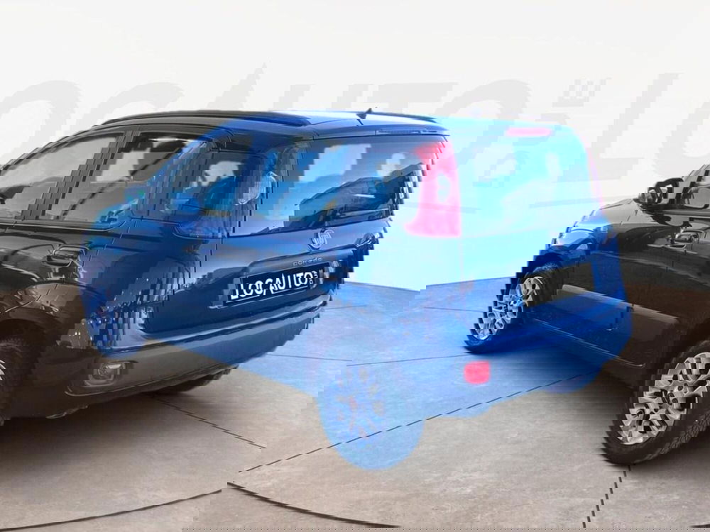 Fiat Panda usata a Torino (4)