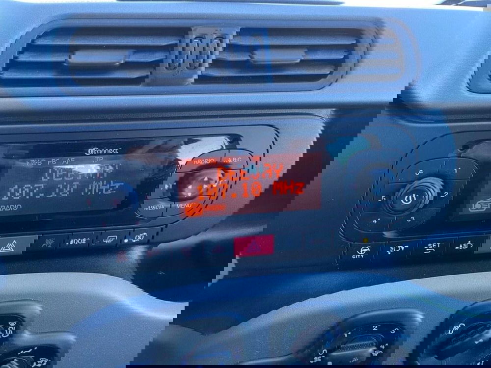 Fiat Panda usata a Torino (9)