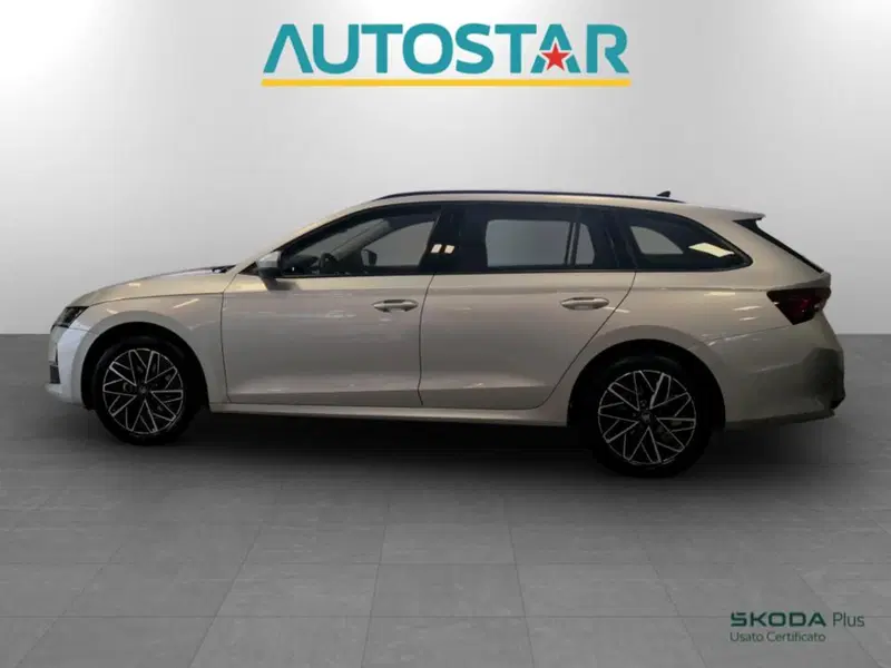 Skoda Octavia Station Wagon usata a Piacenza (4)