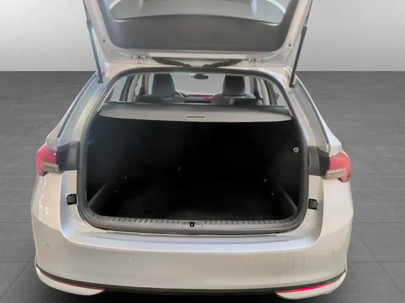 Skoda Octavia Station Wagon usata a Piacenza (7)