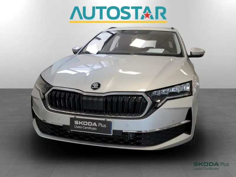Skoda Octavia Station Wagon usata a Piacenza (2)