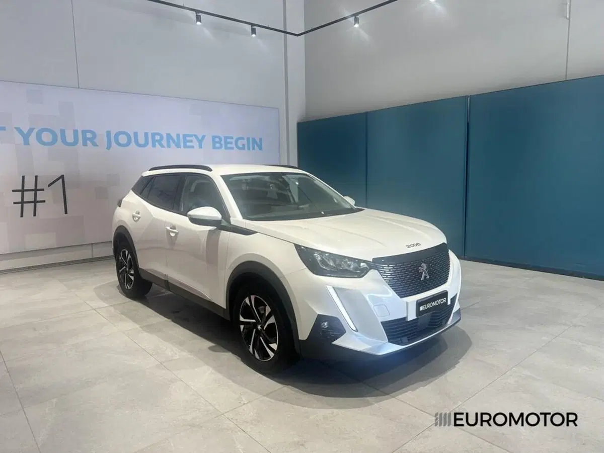Peugeot 2008 usata a Bari (3)