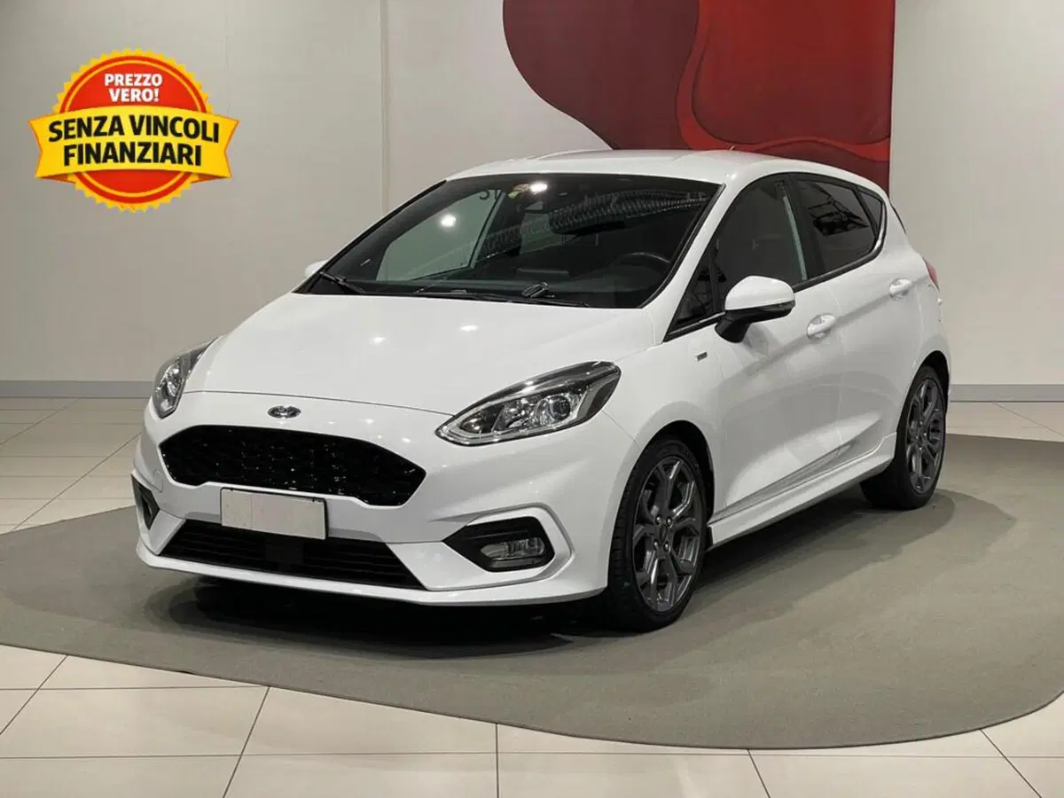 Ford Fiesta usata a Sondrio