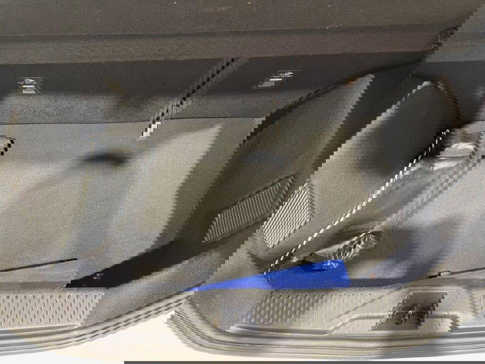 Ford Fiesta usata a Sondrio (15)