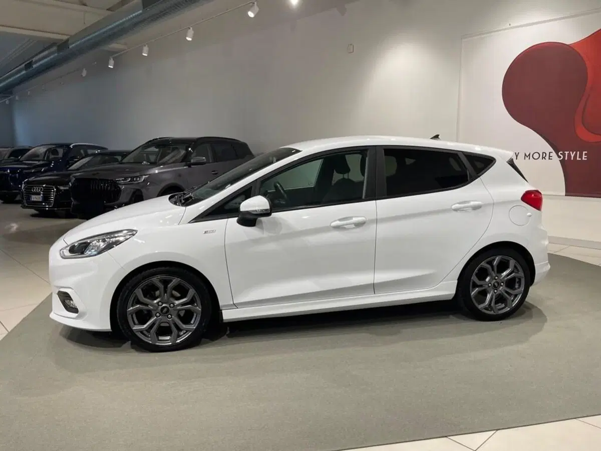Ford Fiesta usata a Sondrio (2)