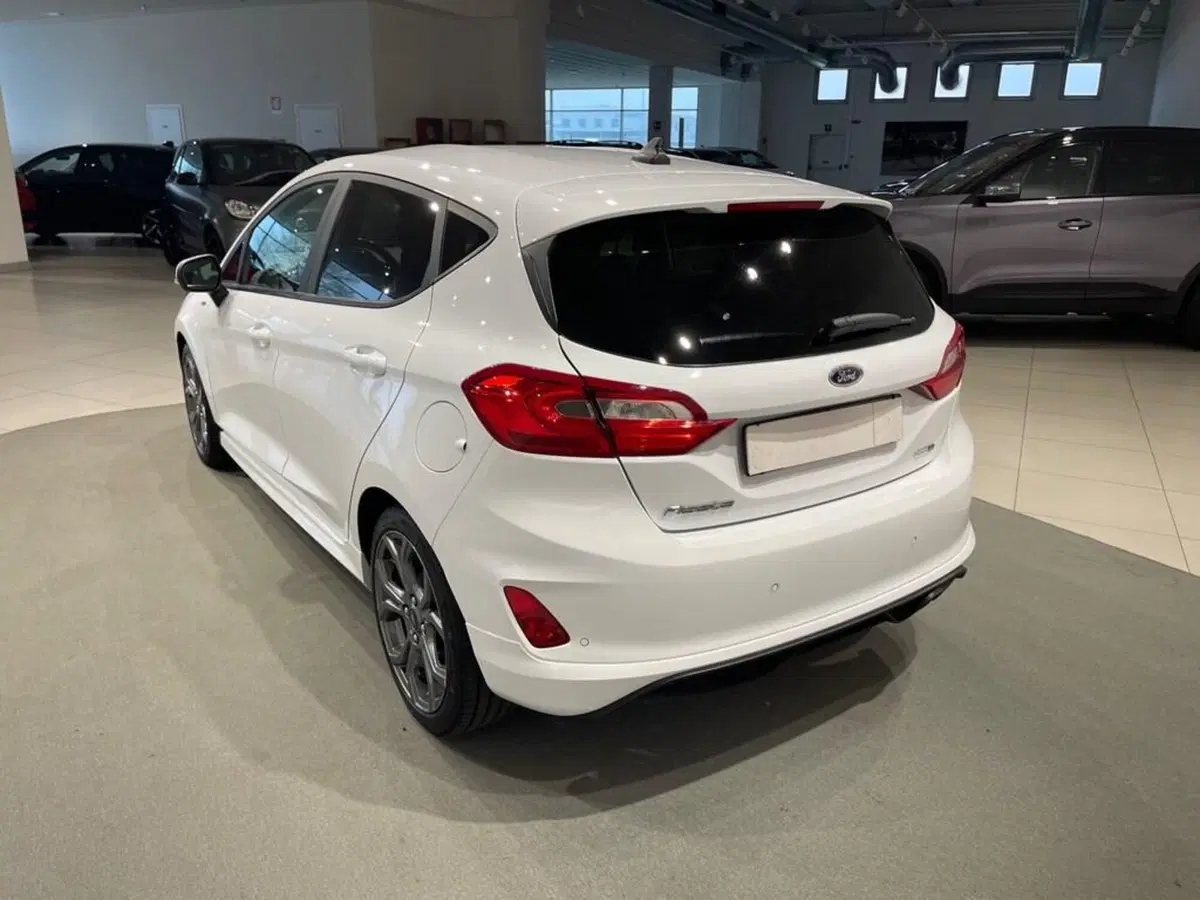 Ford Fiesta usata a Sondrio (3)