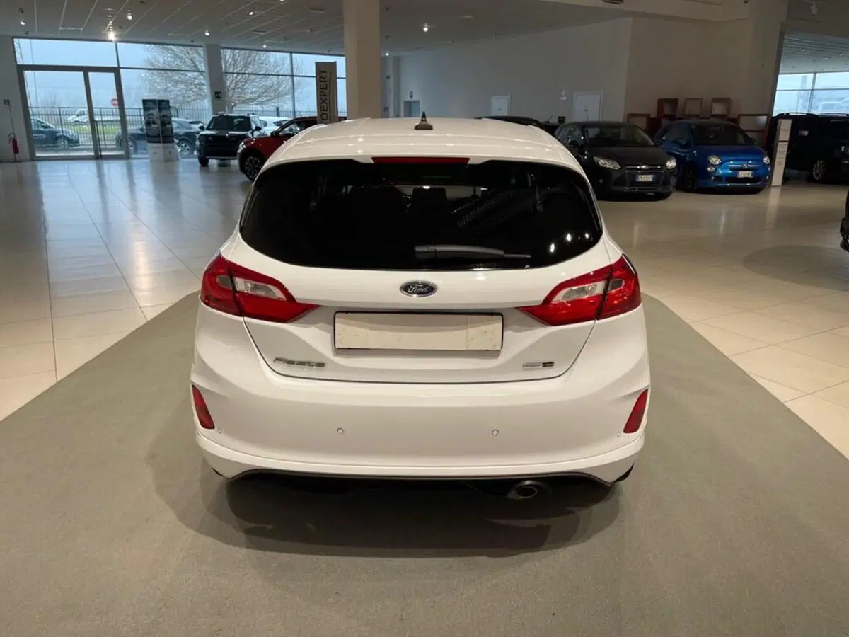 Ford Fiesta usata a Sondrio (4)