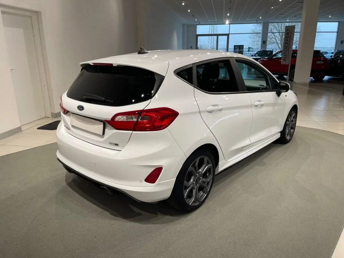 Ford Fiesta usata a Sondrio (5)