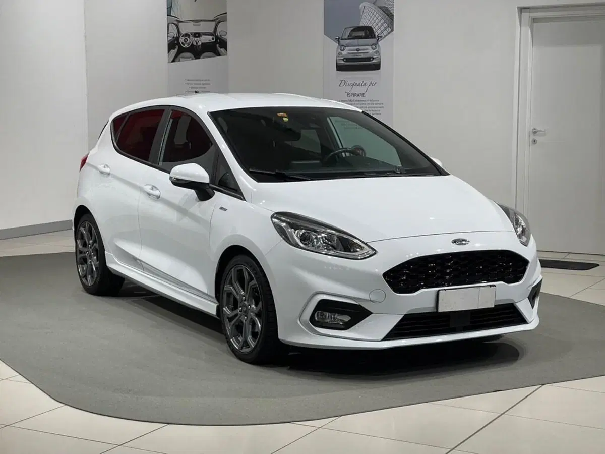 Ford Fiesta usata a Sondrio (7)