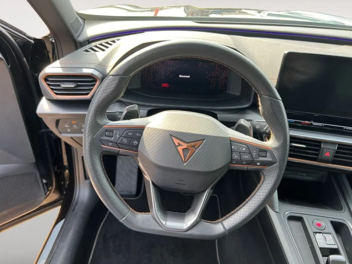 Cupra Formentor usata a Verona (10)