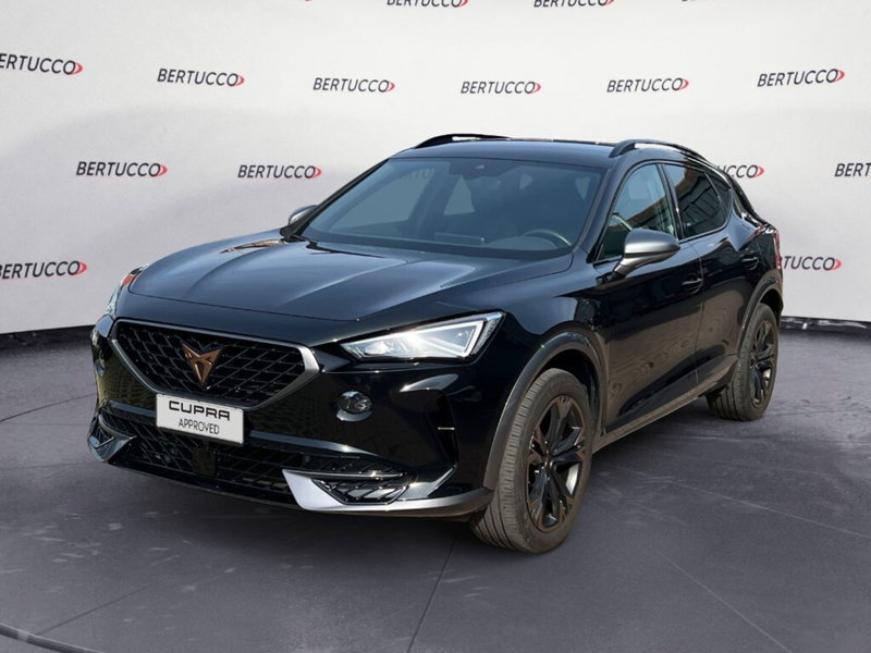 Cupra Formentor usata a Verona (2)