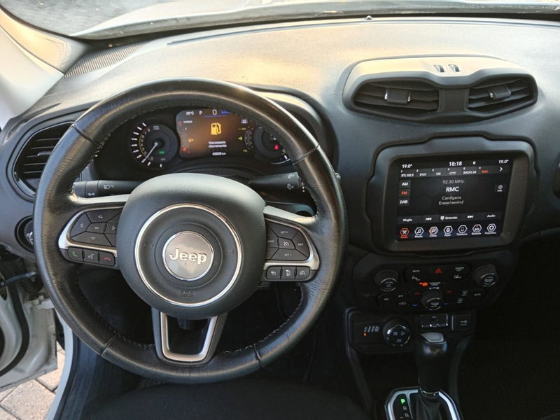 Jeep Renegade usata a Alessandria (14)