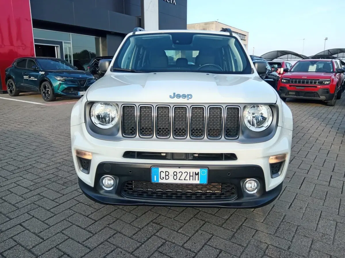 Jeep Renegade usata a Alessandria (2)