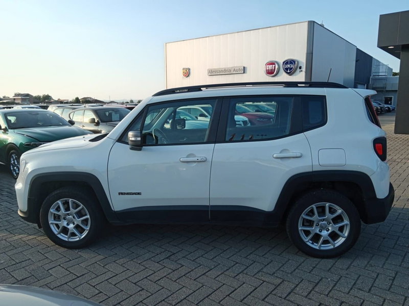 Jeep Renegade usata a Alessandria (9)