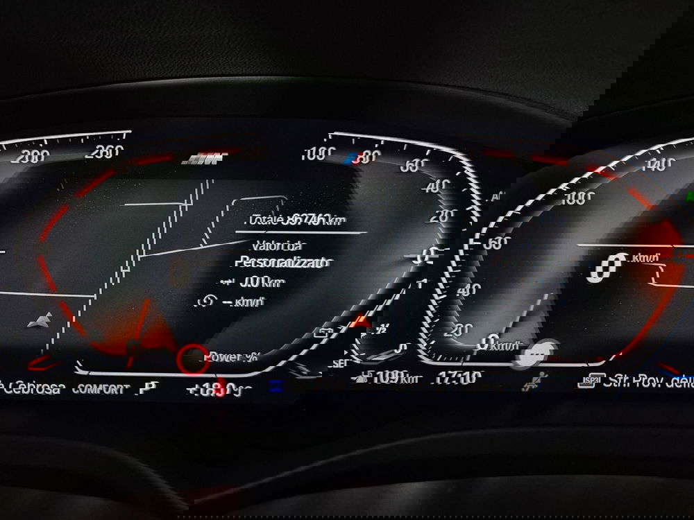 BMW X4 usata a Torino (15)