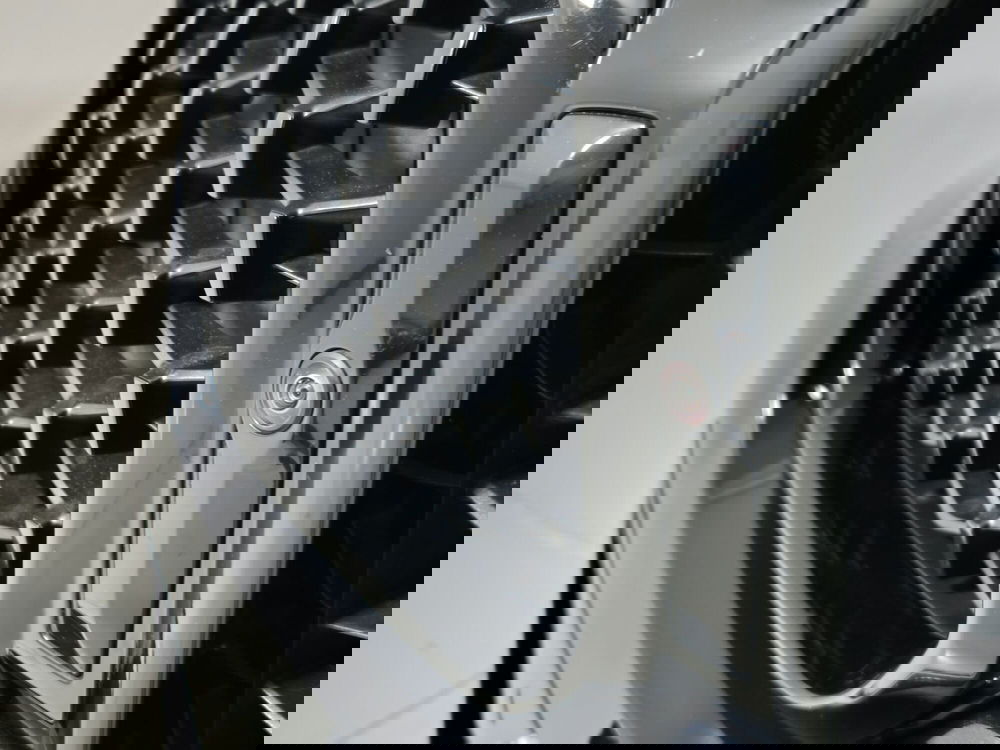 BMW X4 usata a Torino (19)