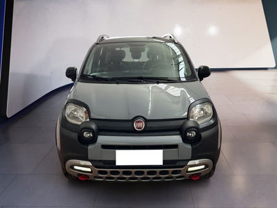 Fiat Panda 0.9 TwinAir Turbo S&amp;S 4x4 City Cross del 2022 usata a Torino