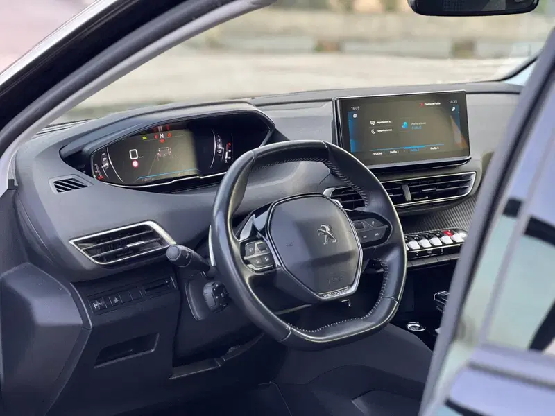 Peugeot 3008 usata a Matera (19)