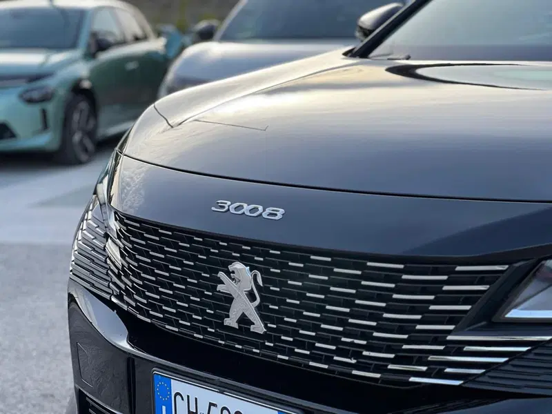 Peugeot 3008 usata a Matera (3)