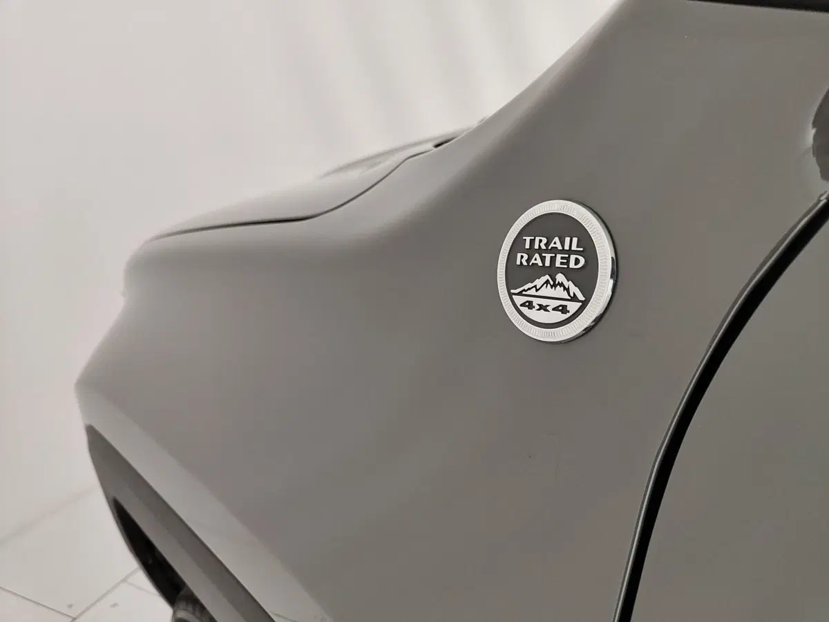 Jeep Renegade usata a Caserta (14)