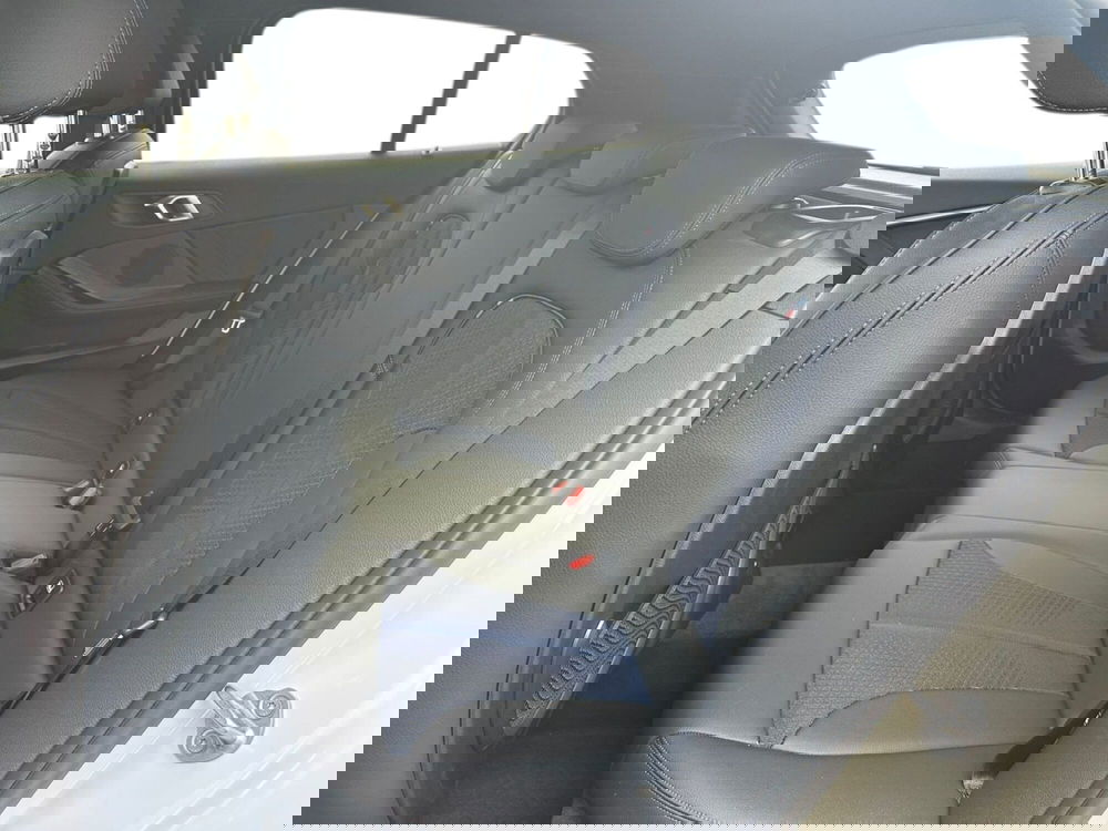 BMW Serie 1 usata a Pistoia (12)