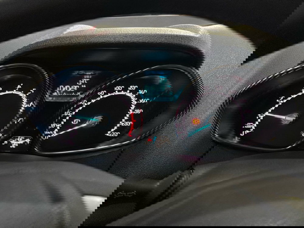 Ford EcoSport usata a Bologna (10)