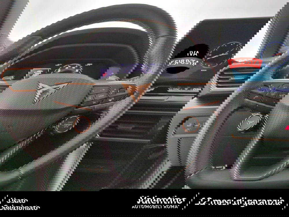 Cupra Formentor usata a Roma (14)