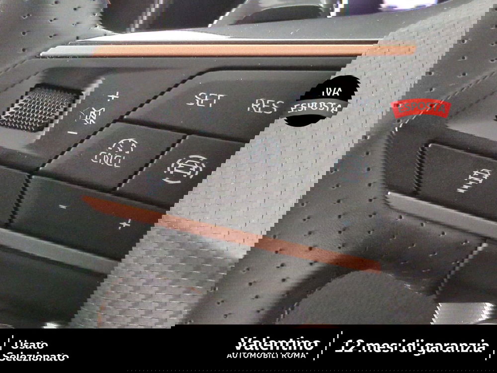 Cupra Formentor usata a Roma (15)