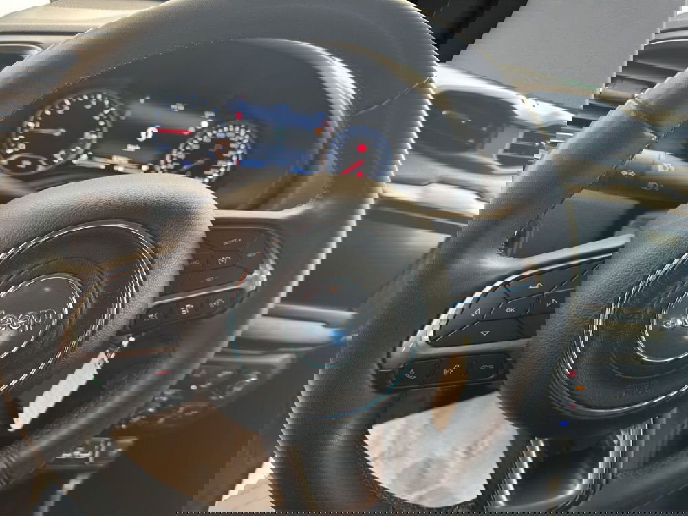 Jeep Renegade usata a Cosenza (10)